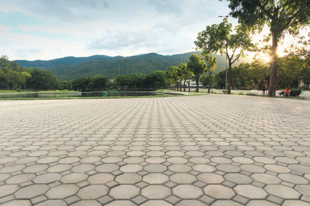 Best Professional Driveway Pavers  in Central, TN